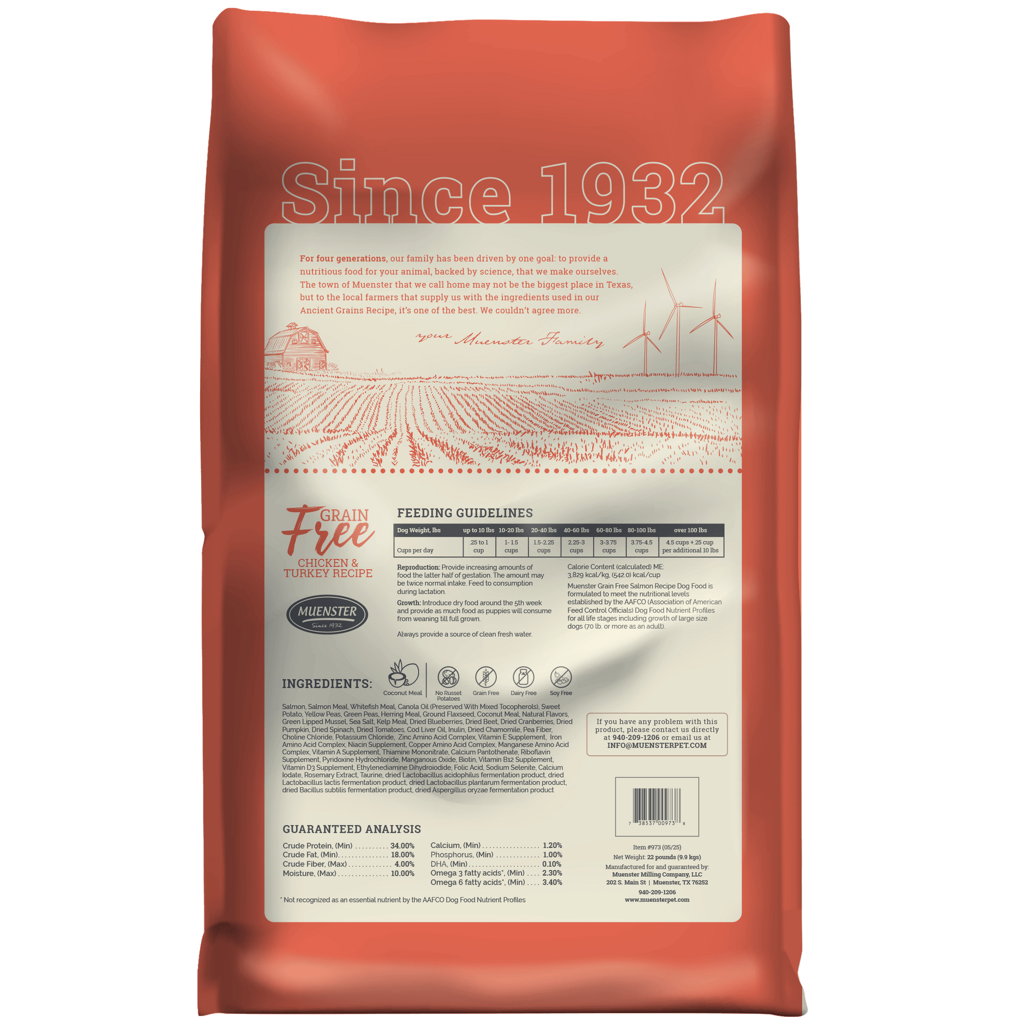 Grain Free Salmon Recipe dry dog food, 22 lb bag