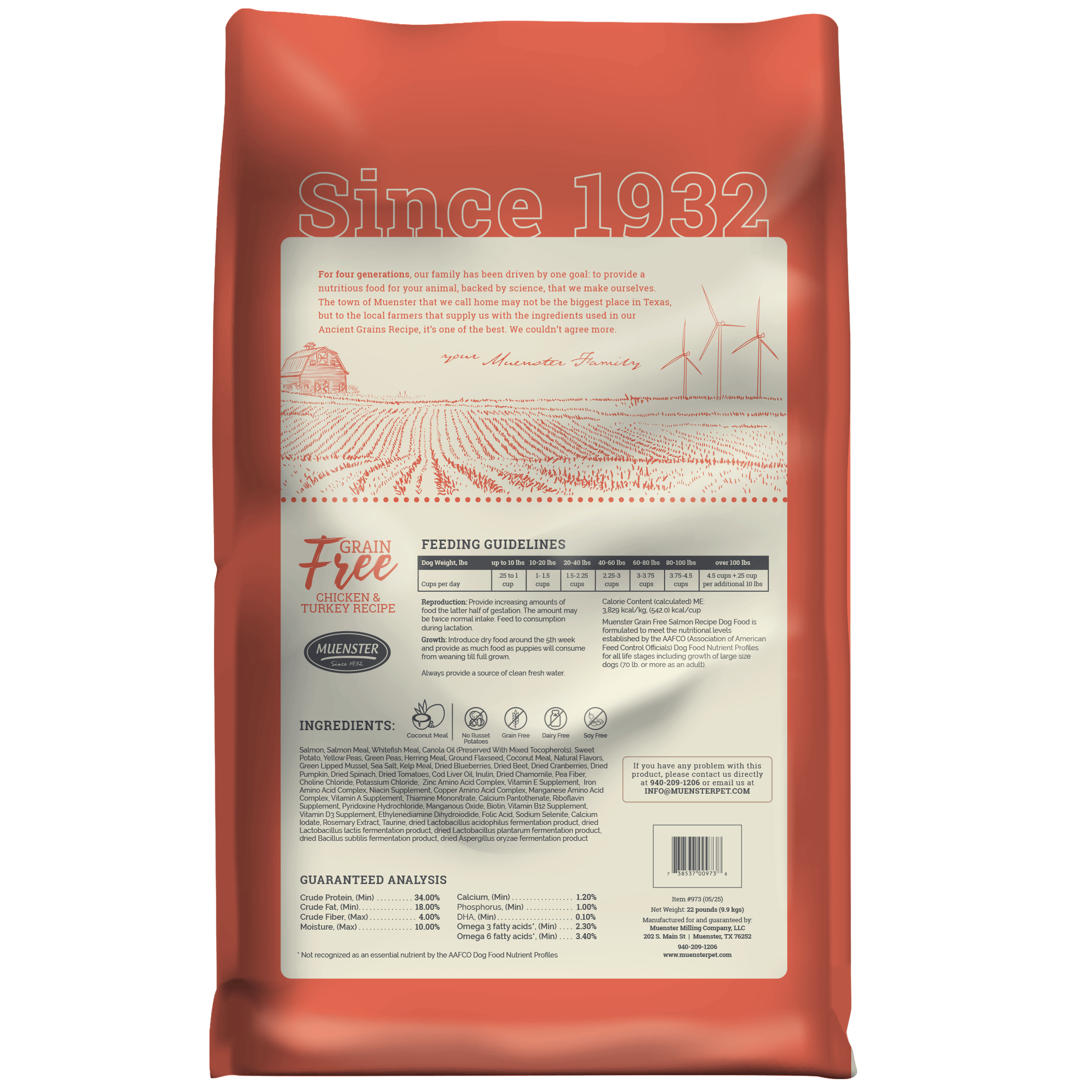 Grain Free Salmon Recipe dry dog food, 22 lb bag