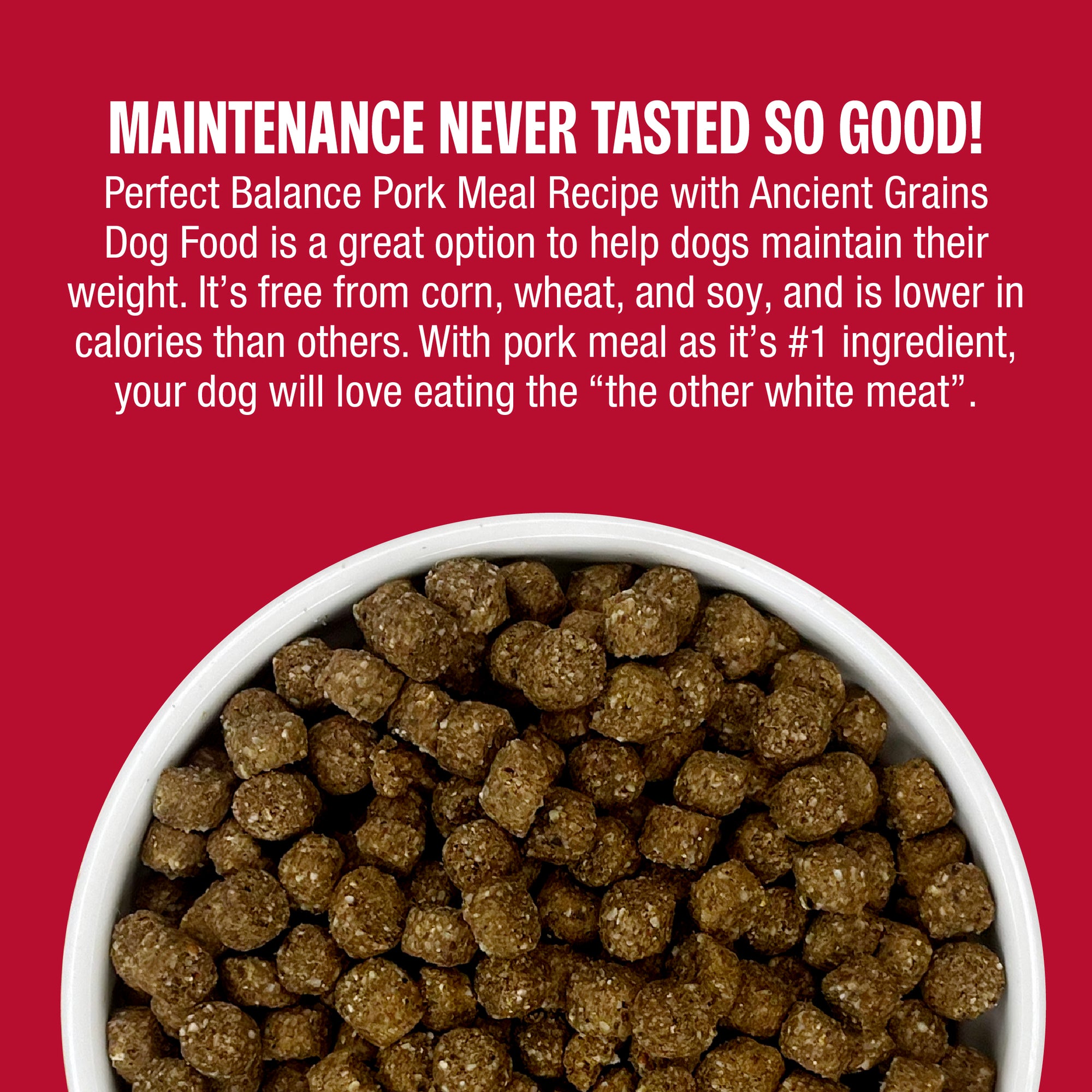 Perfect Balance Pork Meal Recipe with Ancient Grains Dog Food is a great option to help dogs maintain their weight. Free from corn, wheat, and soy. With a bowl of food on a red background