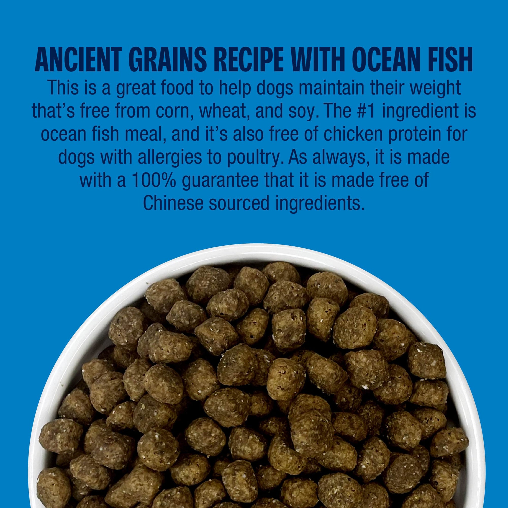 Perfect Balance Grain Free Recipe with Ocean Fish Meal Dog Food