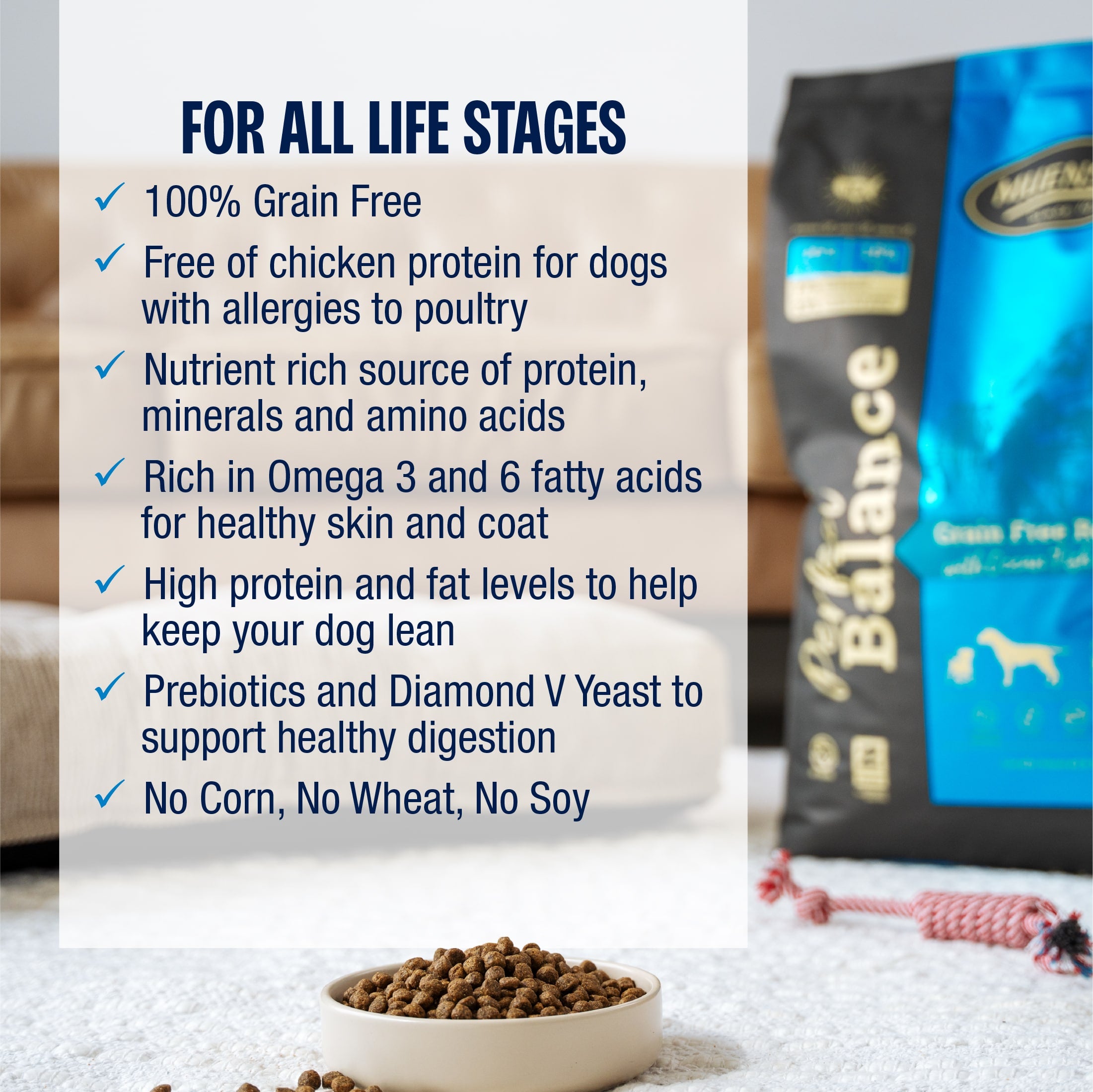 Perfect Balance Grain Free Recipe with Ocean Fish Meal Dog Food