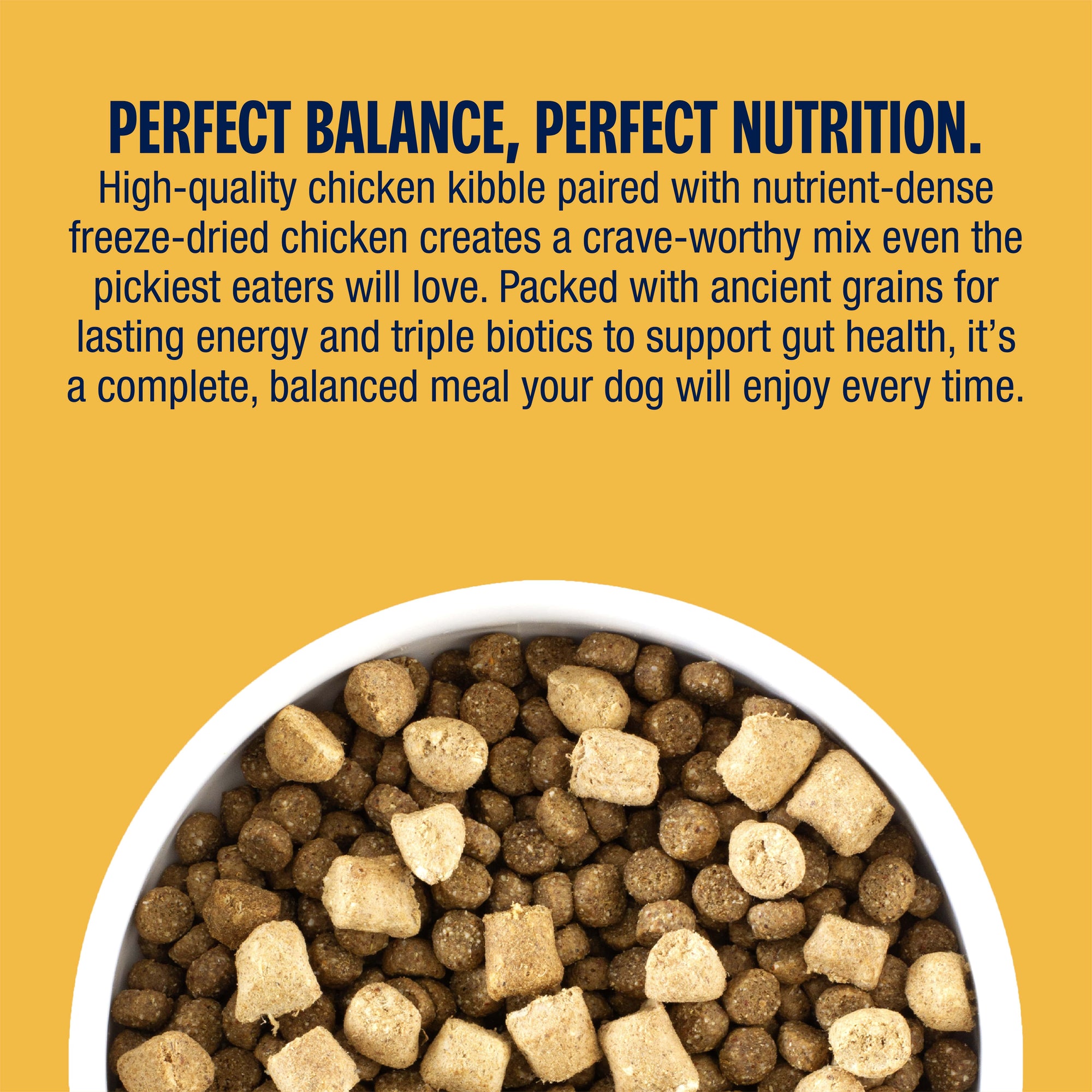 Perfect Balance Chicken Meal Medley with Freeze-Dried Chicken Dog Food