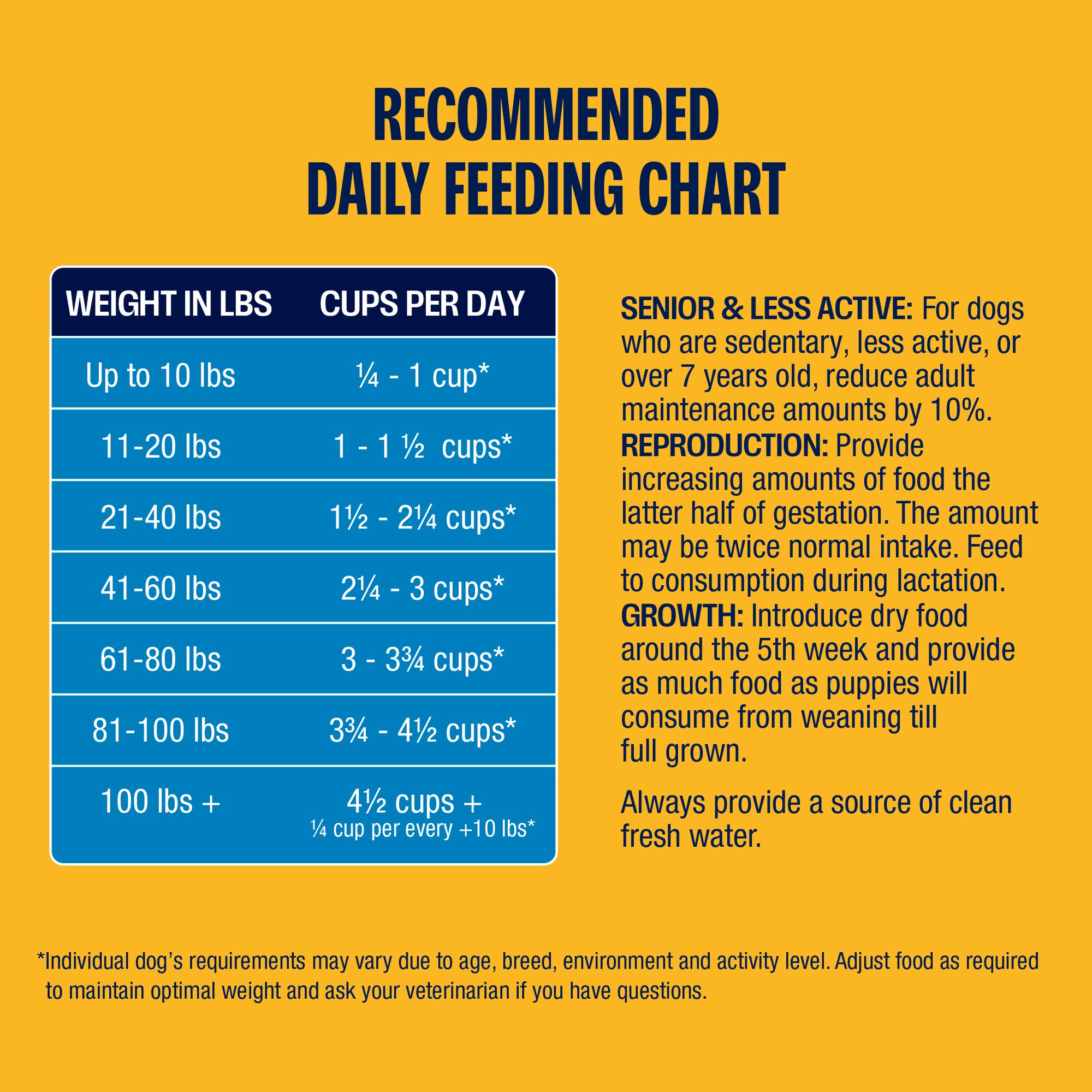 Recommended daily feeding chart for dogs on a yellow background