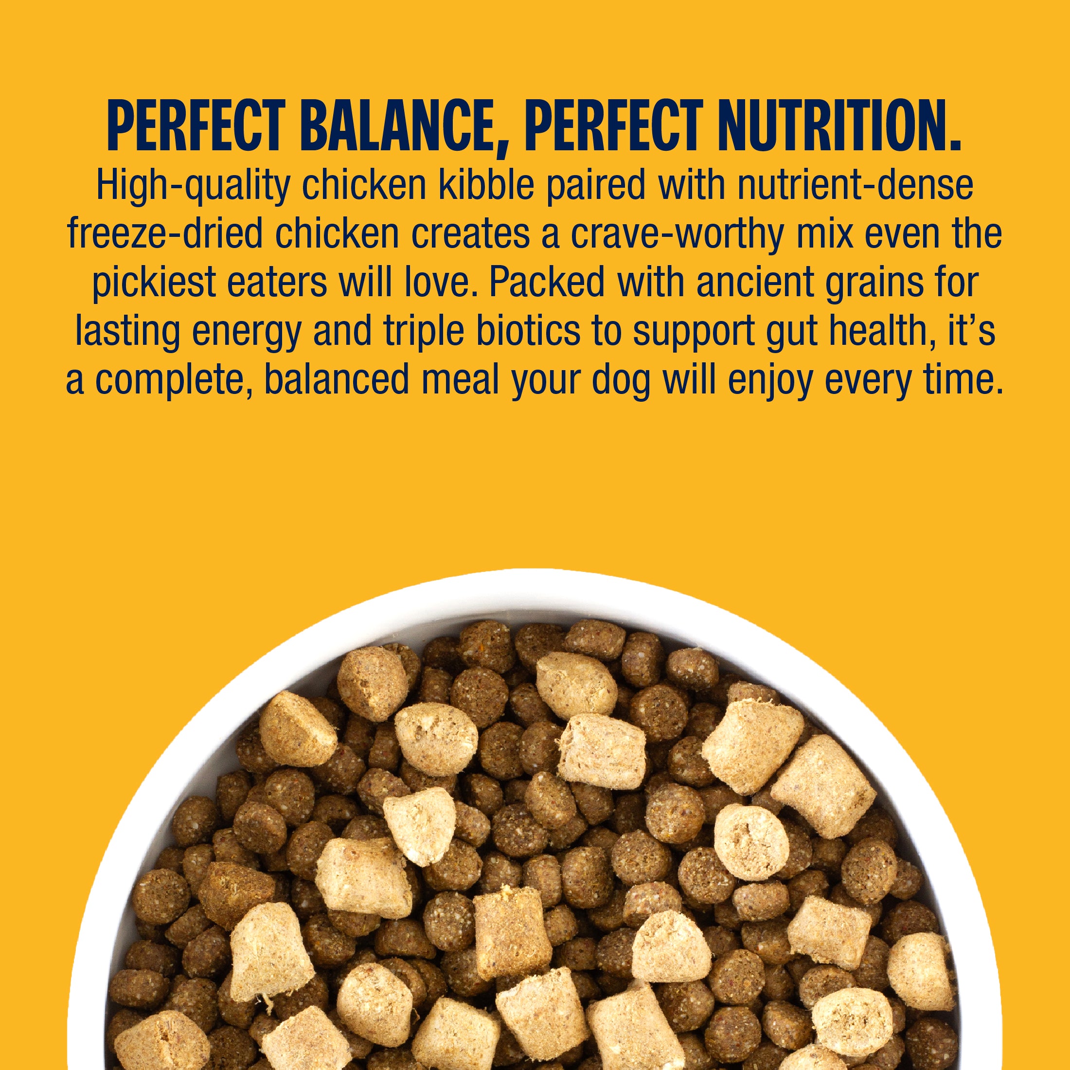 Dog food in a bowl with text about perfect balance and nutrition on a yellow background