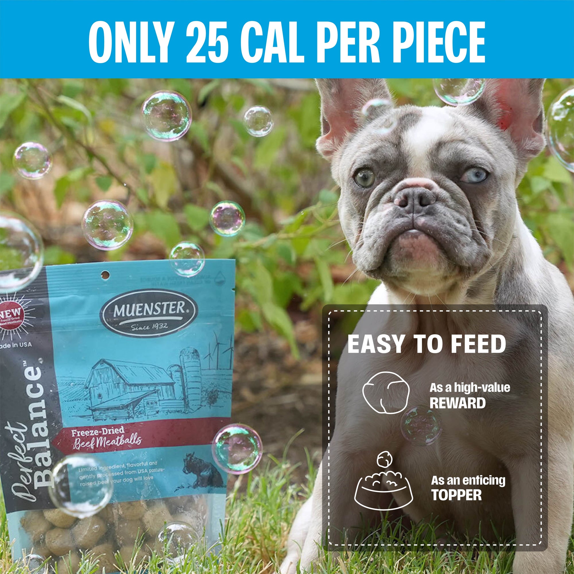 Perfect Balance Freeze-Dried Beef Meatballs Dog Treat