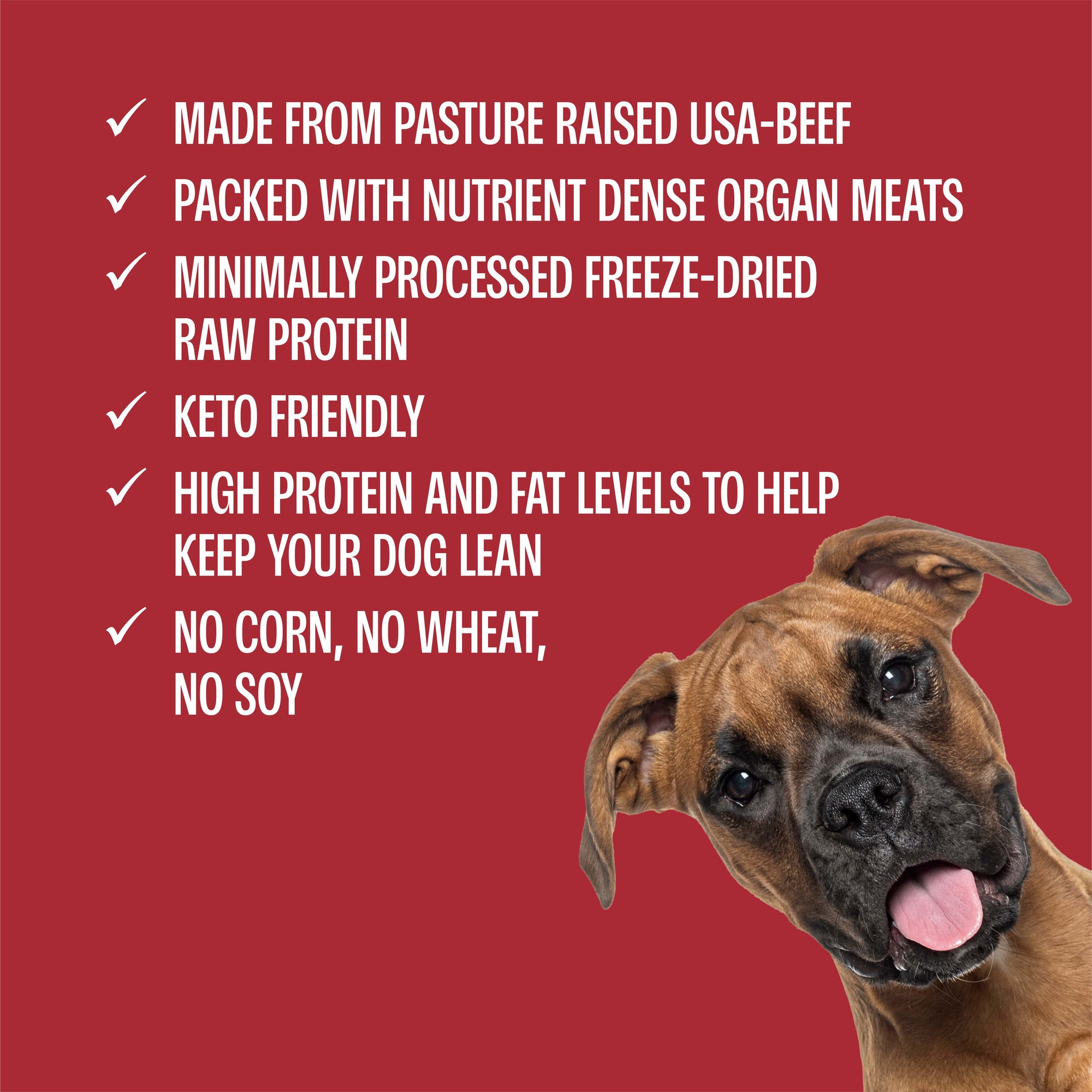 Perfect Balance Freeze-Dried Beef Meatballs Dog Treat