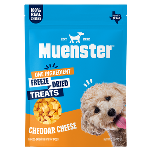 Muenster One Ingredient Freeze Dried Cheddar Cheese Treats for Dogs. Front of the bag. 