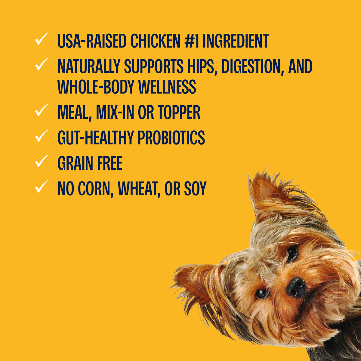 A close-up of a Yorkshire Terrier on an orange background, alongside text listing benefits of a dog food product with green check marks.