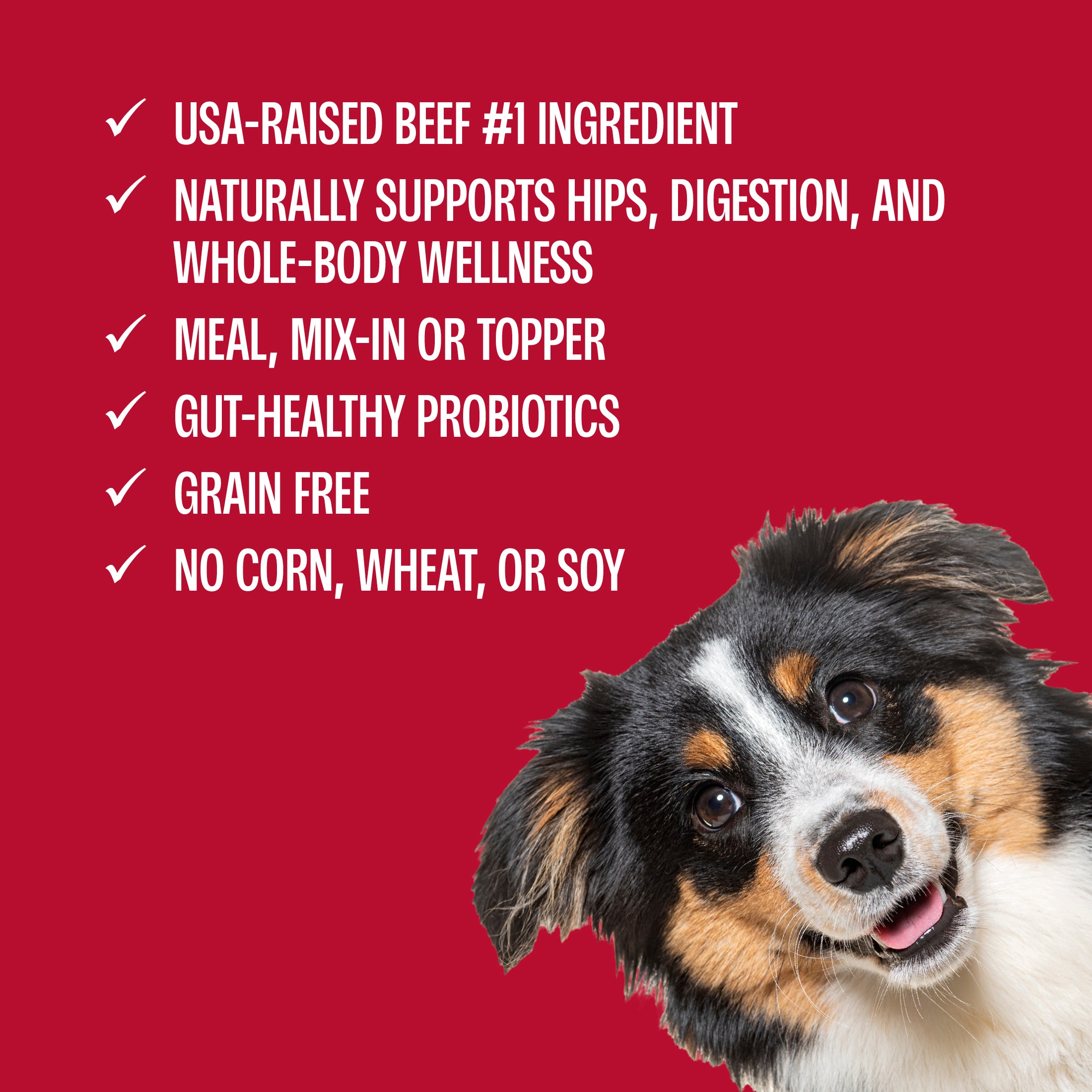 Perfect Balance Freeze-Dried Beef Bites Dog Food, Treat and Topper, 12 oz bag