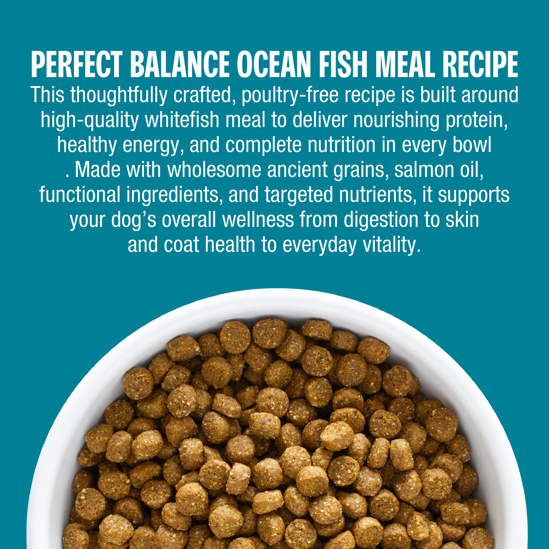 A bowl filled with brown kibble dog food on a teal background with large white text reading 'PERFECT BALANCE OCEAN FISH MEAL RECIPE' and descriptive copy about the meal.