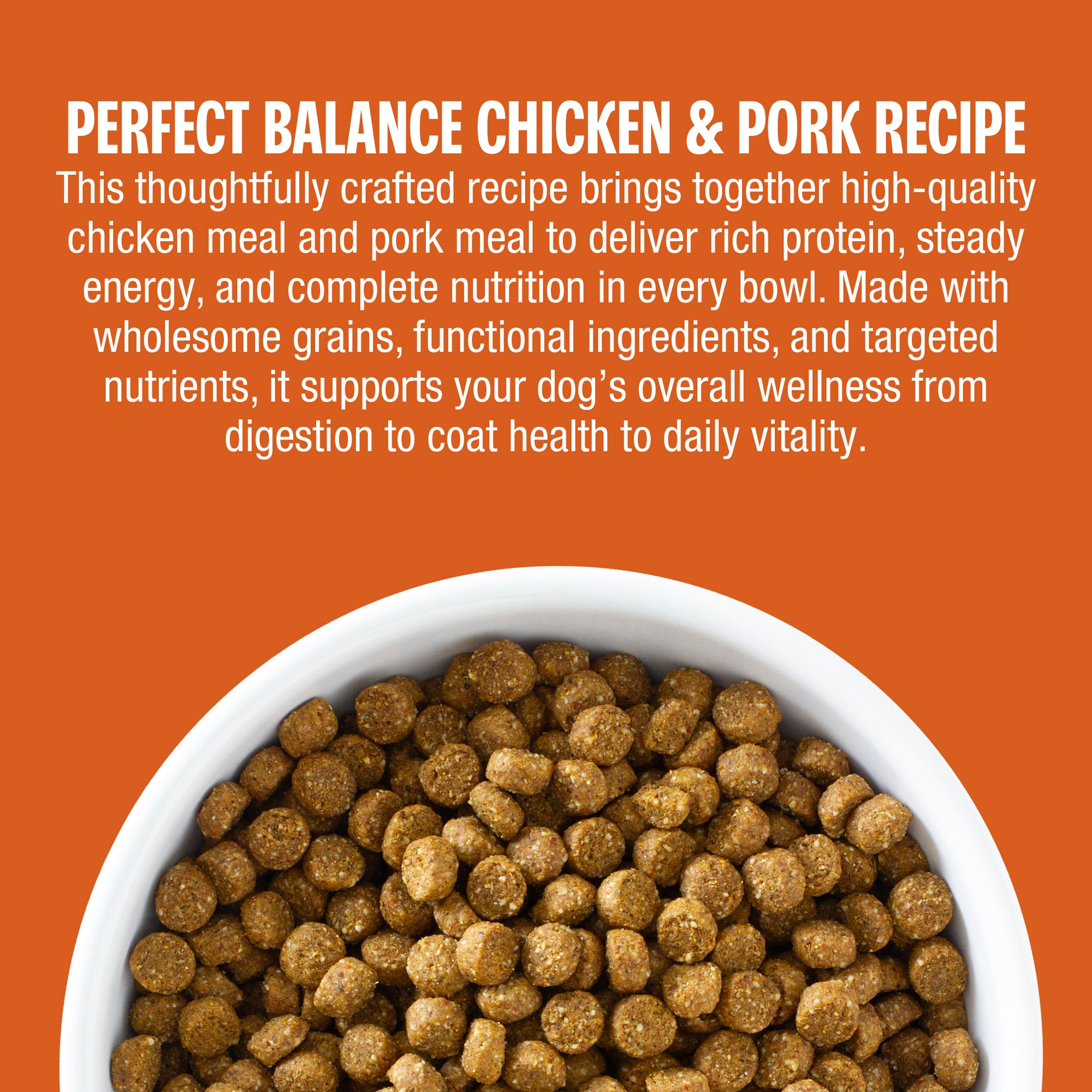 why your dog will love it