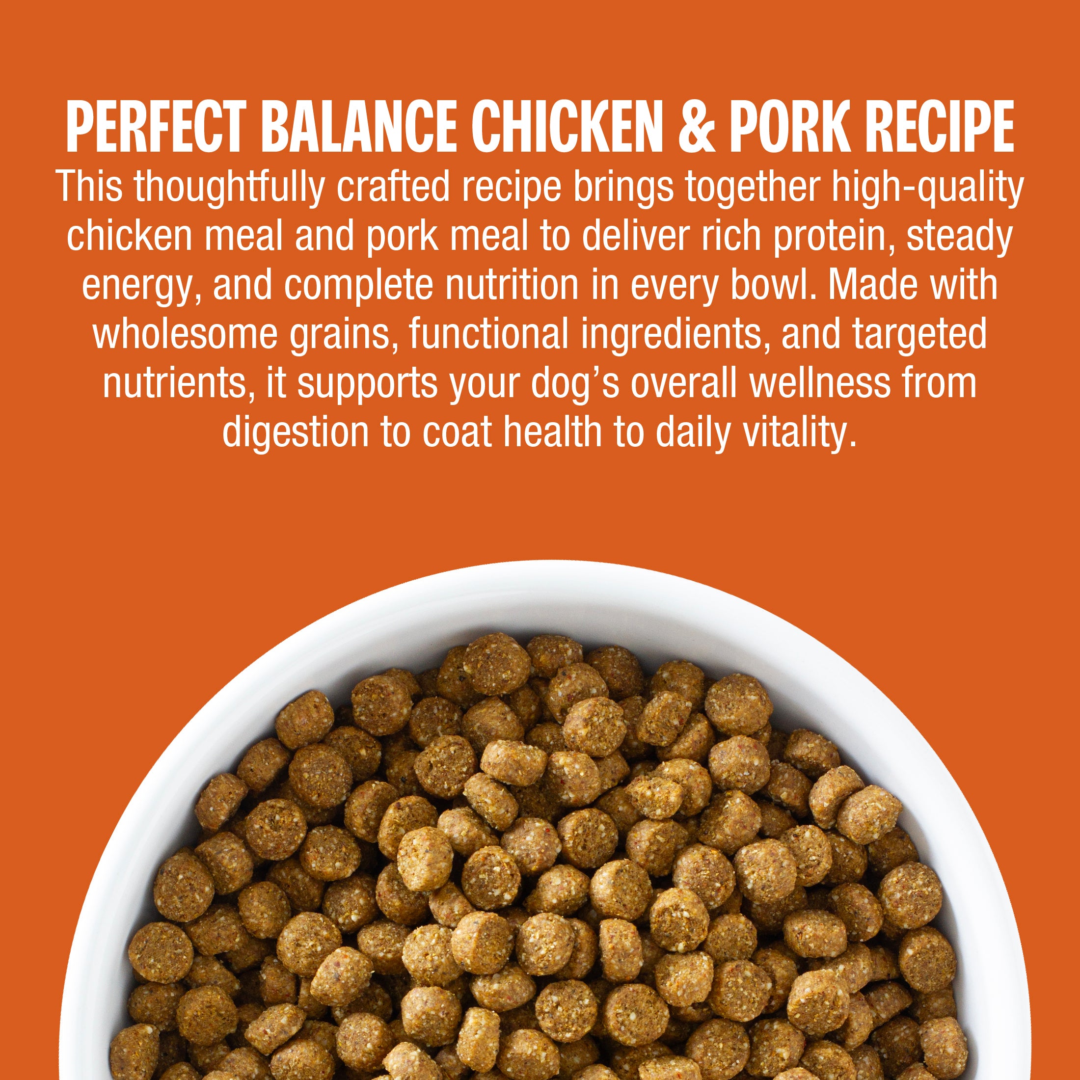 why your dog will love it
