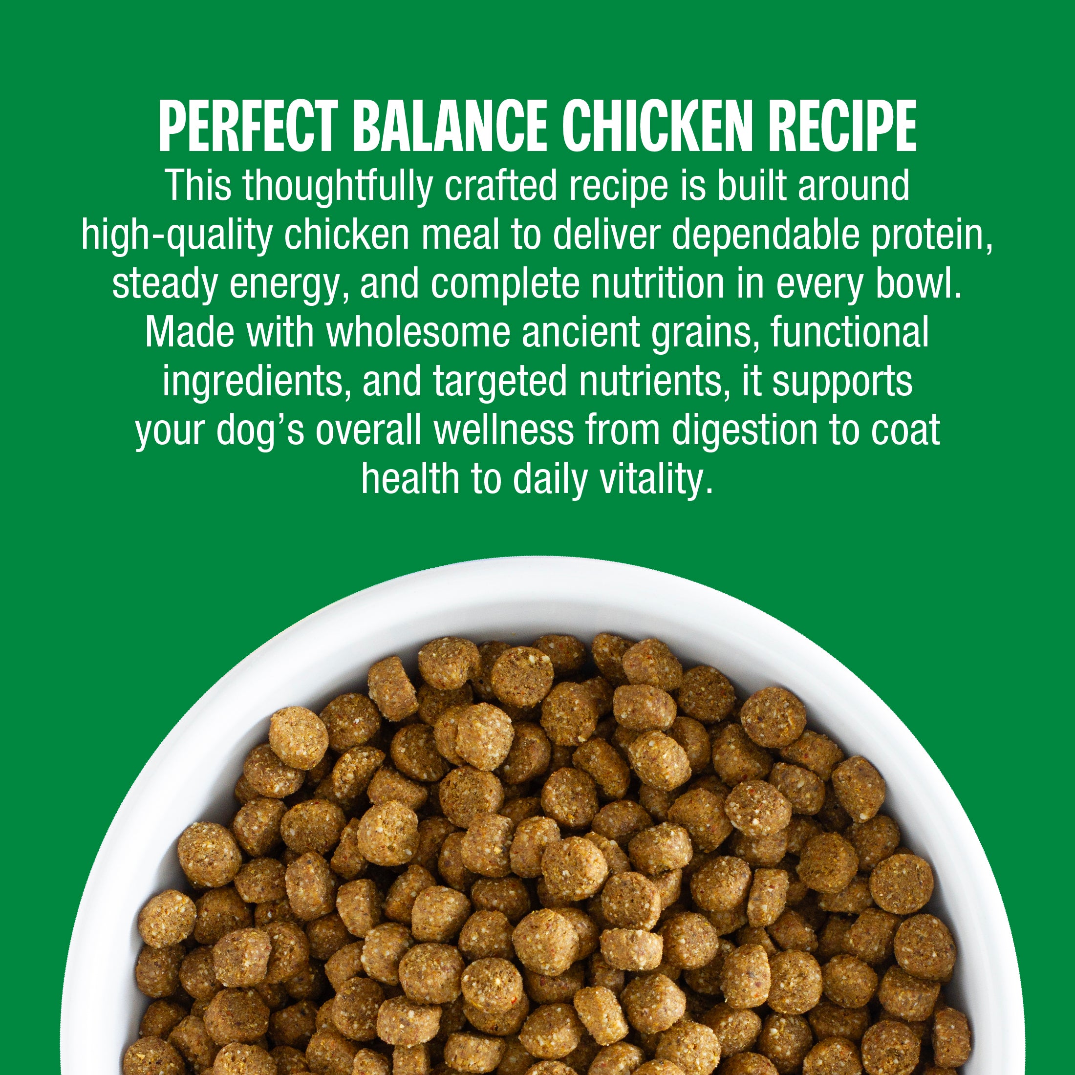why you and your dog will love it
