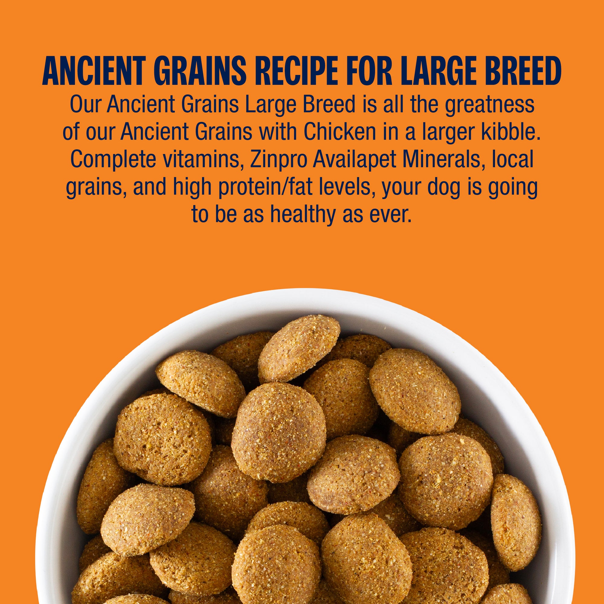 Dog food in a bowl with text about Ancient Grains recipe for large breed dogs on an orange background
