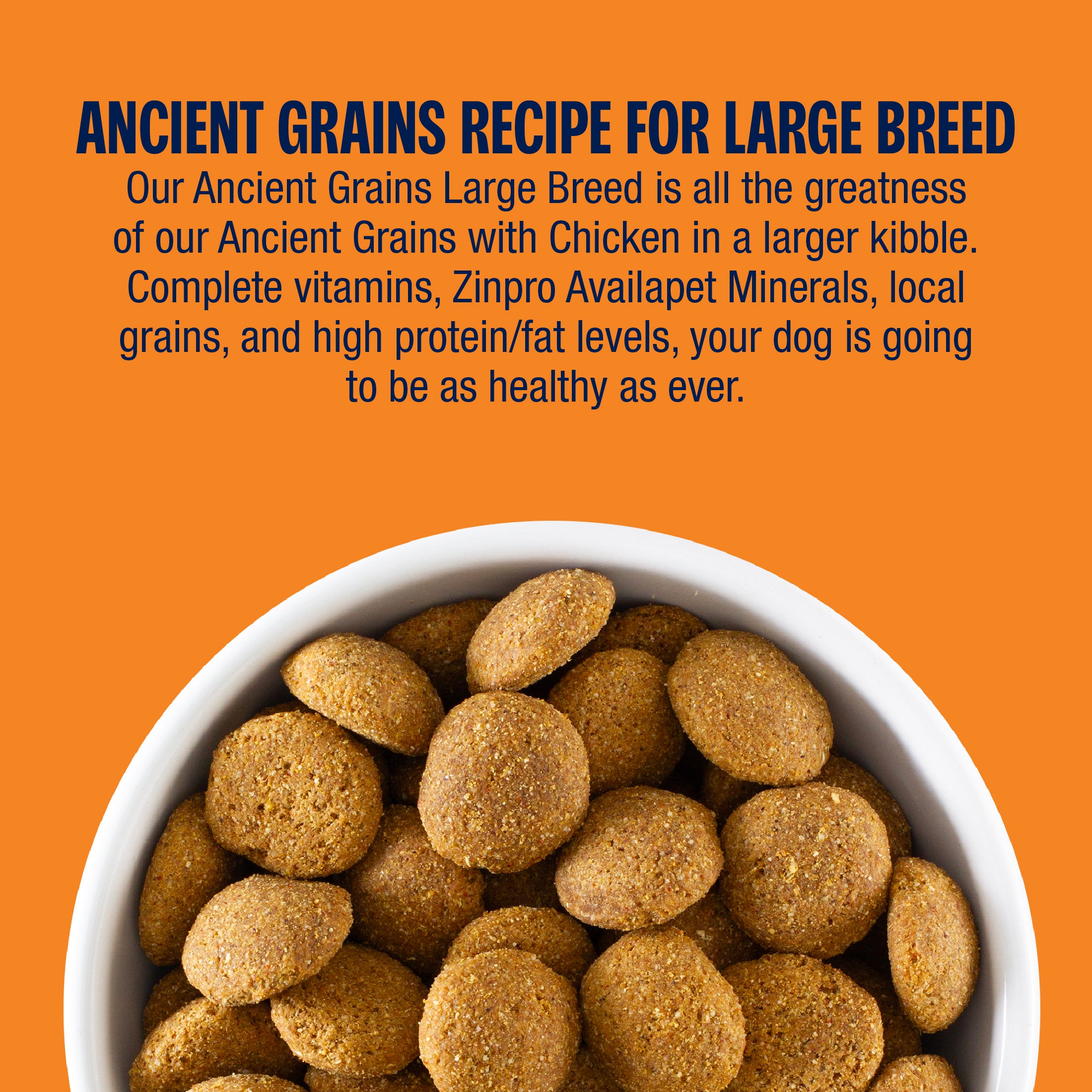 Dog food in a bowl with text about Ancient Grains recipe for large breed dogs on an orange background