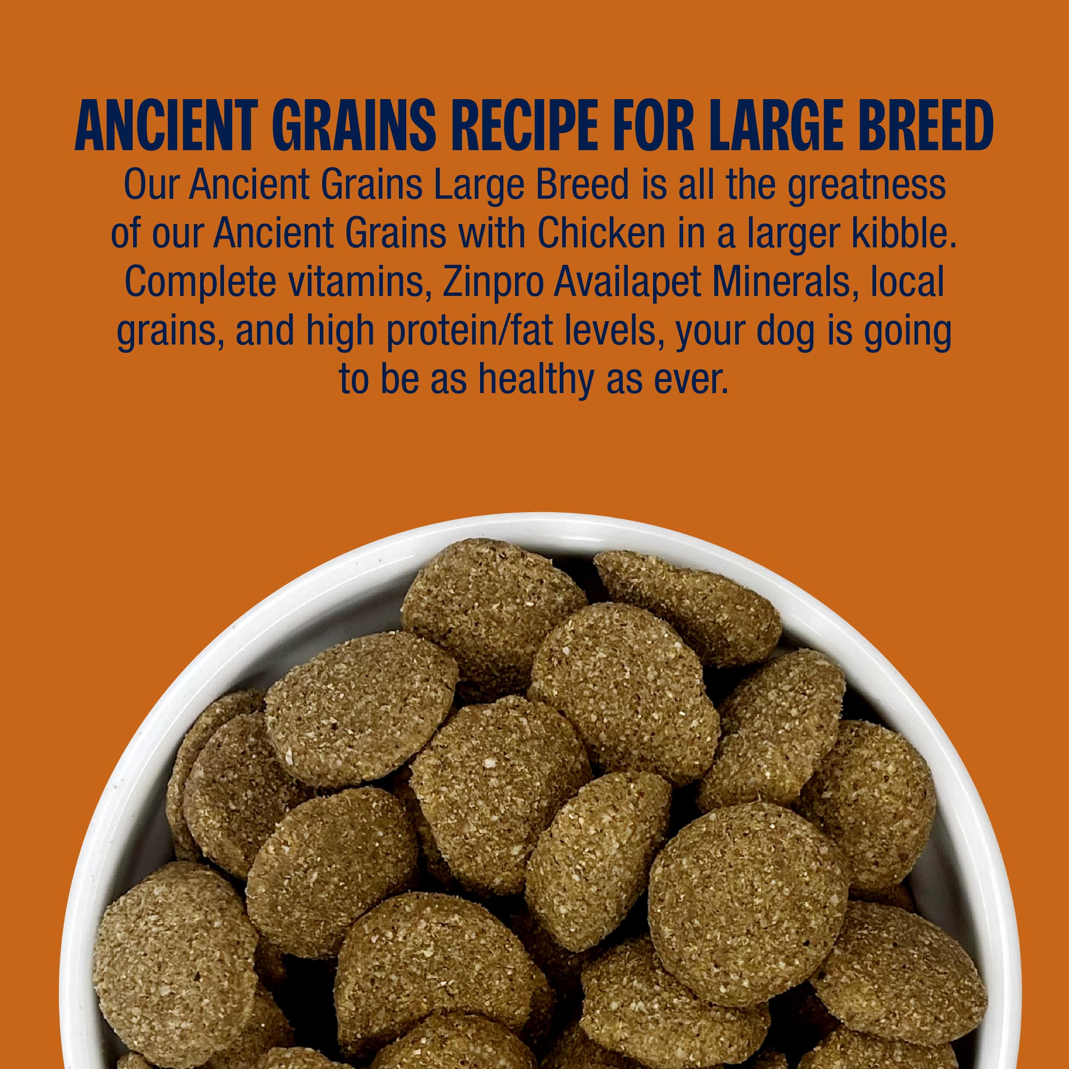 Muenster Ancient Grains Chicken Recipe for Large Breeds 