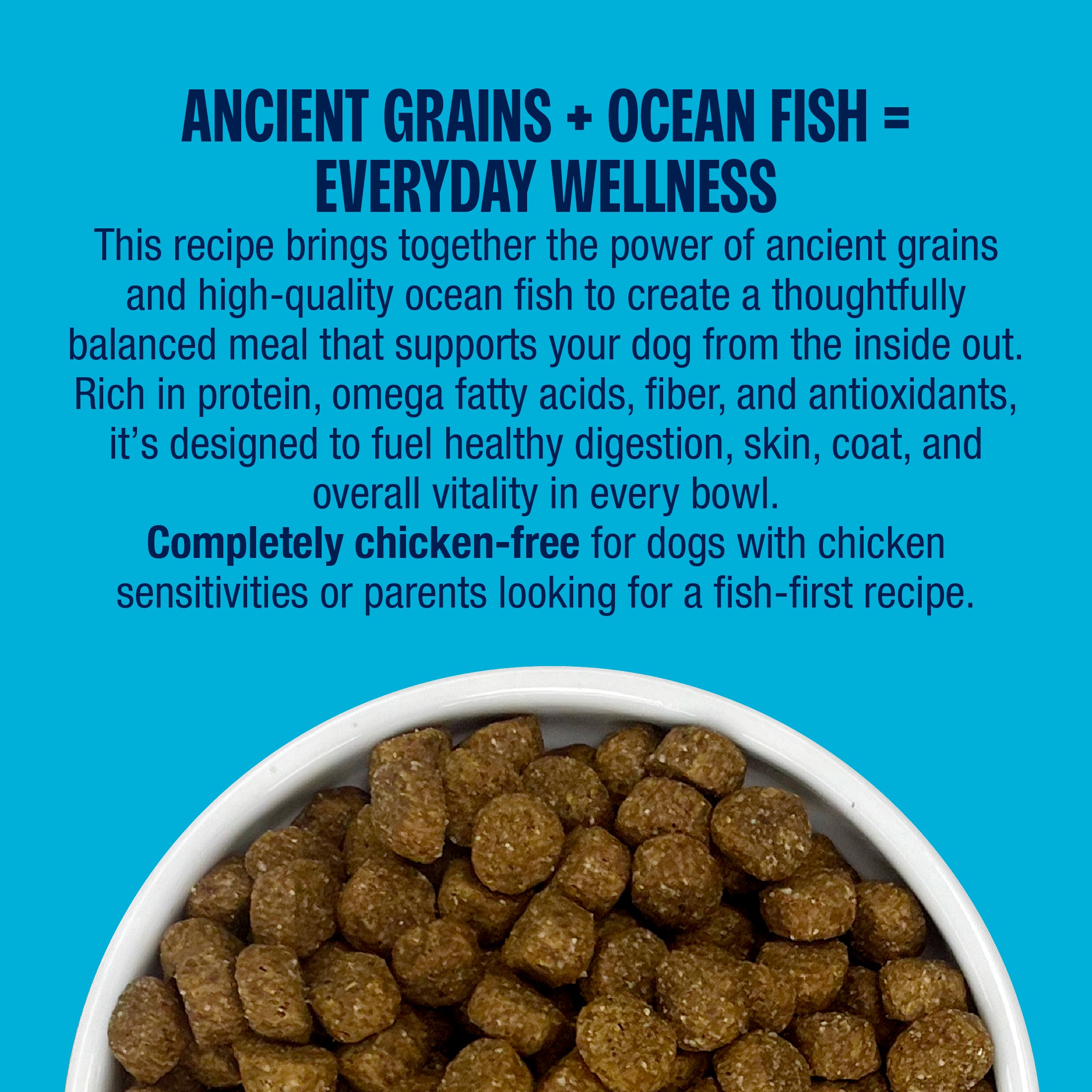 Dog food with text about ancient grains and ocean fish on a blue background