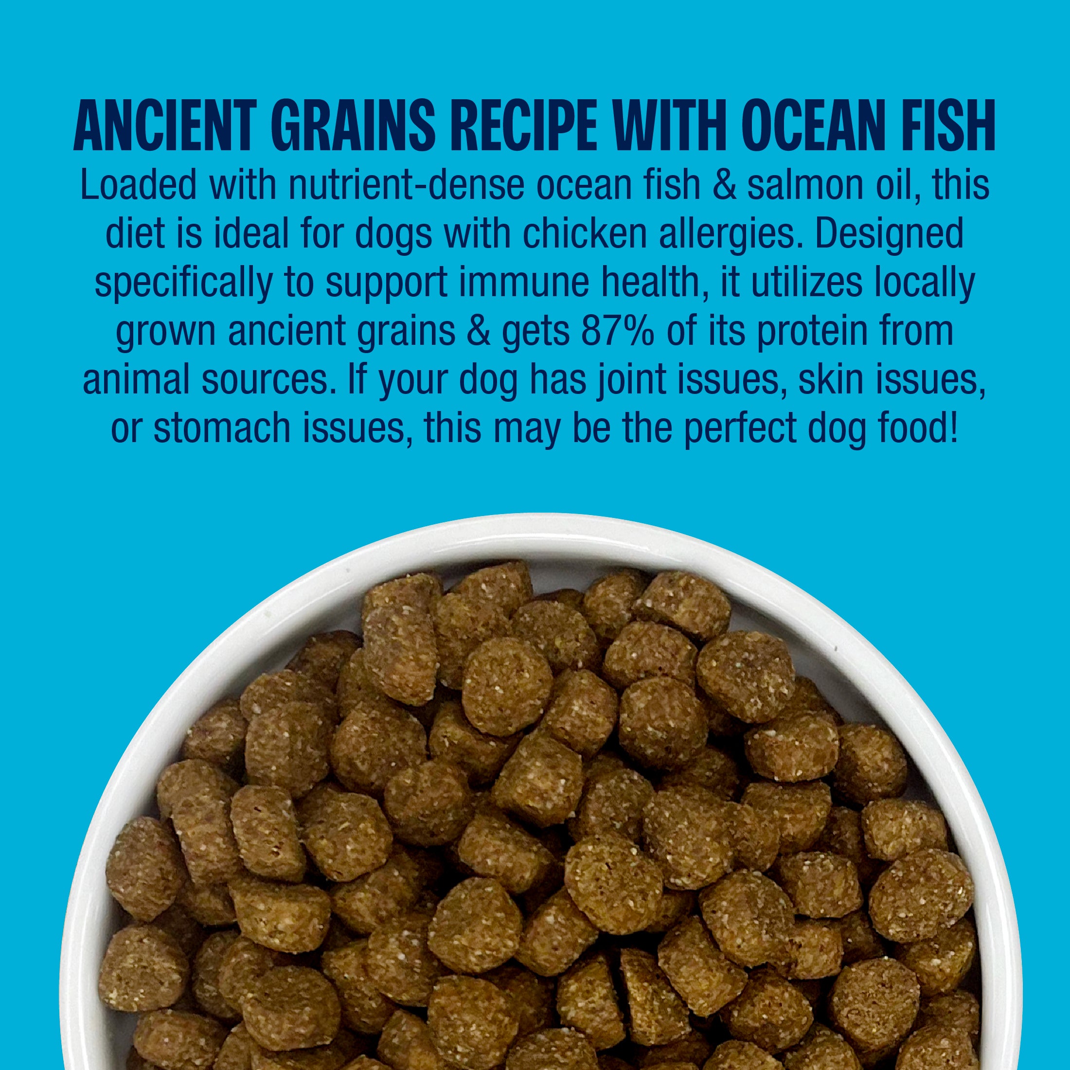 Muenster Ancient Grains Ocean Fish Recipe 22 lb bag