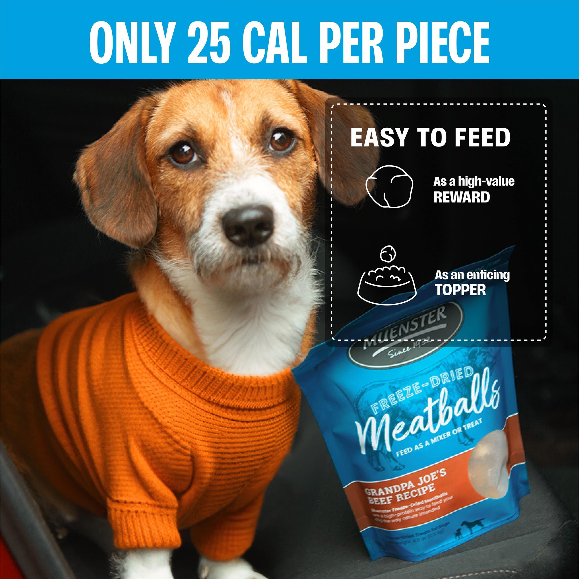 Beef Meatballs Freeze-Dried Dog Treats