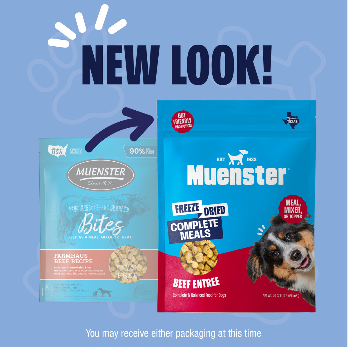 Beef Bites Freeze-Dried Complete & Balanced Food and Treats for Dogs, All Life Stages