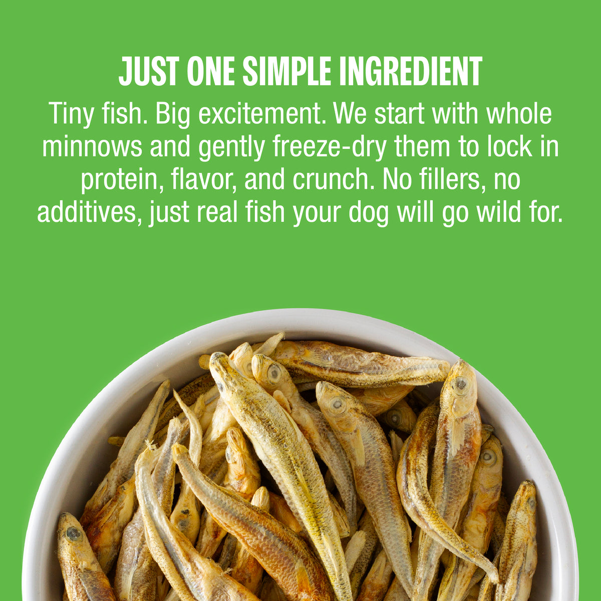 A promotional graphic for a dog treat product showing a white bowl filled with small dried fish on a bright green background with white text that reads, 'JUST ONE SIMPLE INGREDIENT' and a descriptive paragraph about freeze-dried whole minnows.