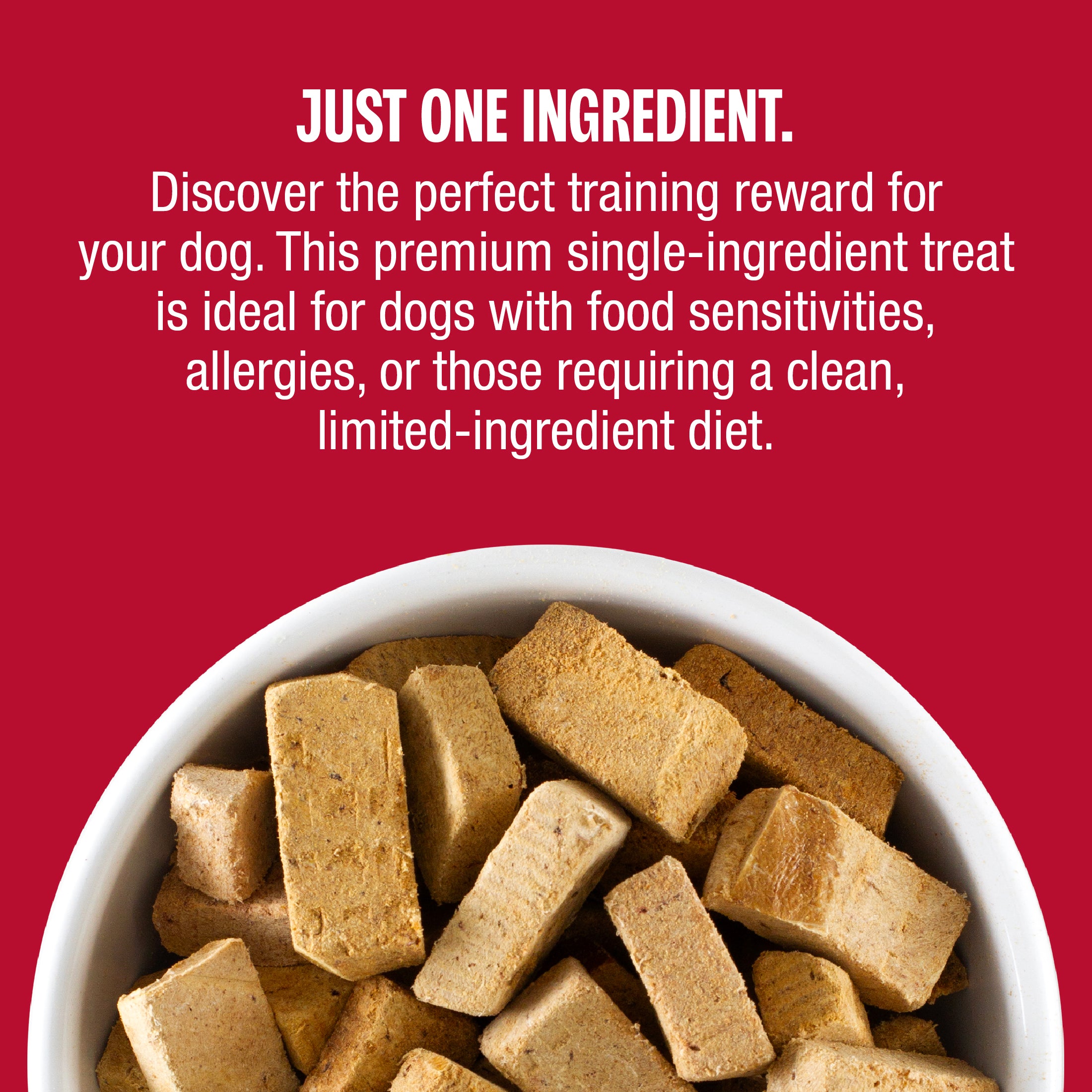 A white bowl filled with rectangular dog treats on a solid red background, with white text above reading 'JUST ONE INGREDIENT. Discover the perfect training reward for your dog.