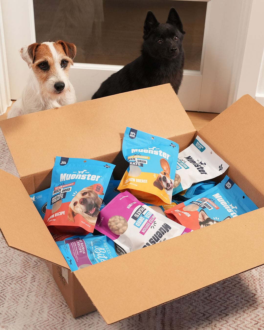 two dogs with a box full of Muenster treats