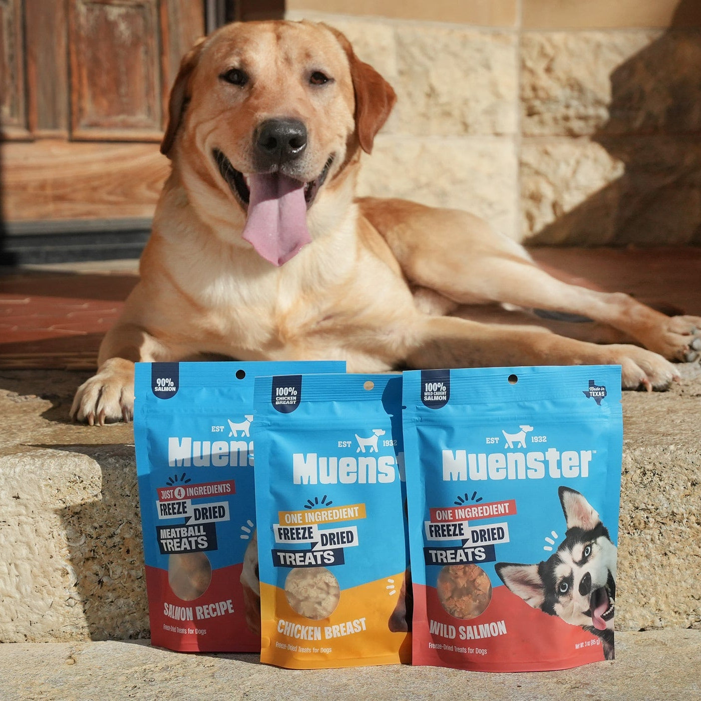 Happy dog lying on steps with Muenster freeze-dried dog treats