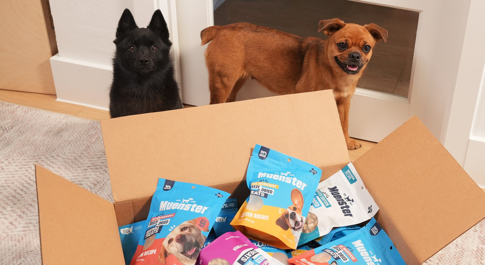 Two happy dogs with a box of Muenster dog treat packages