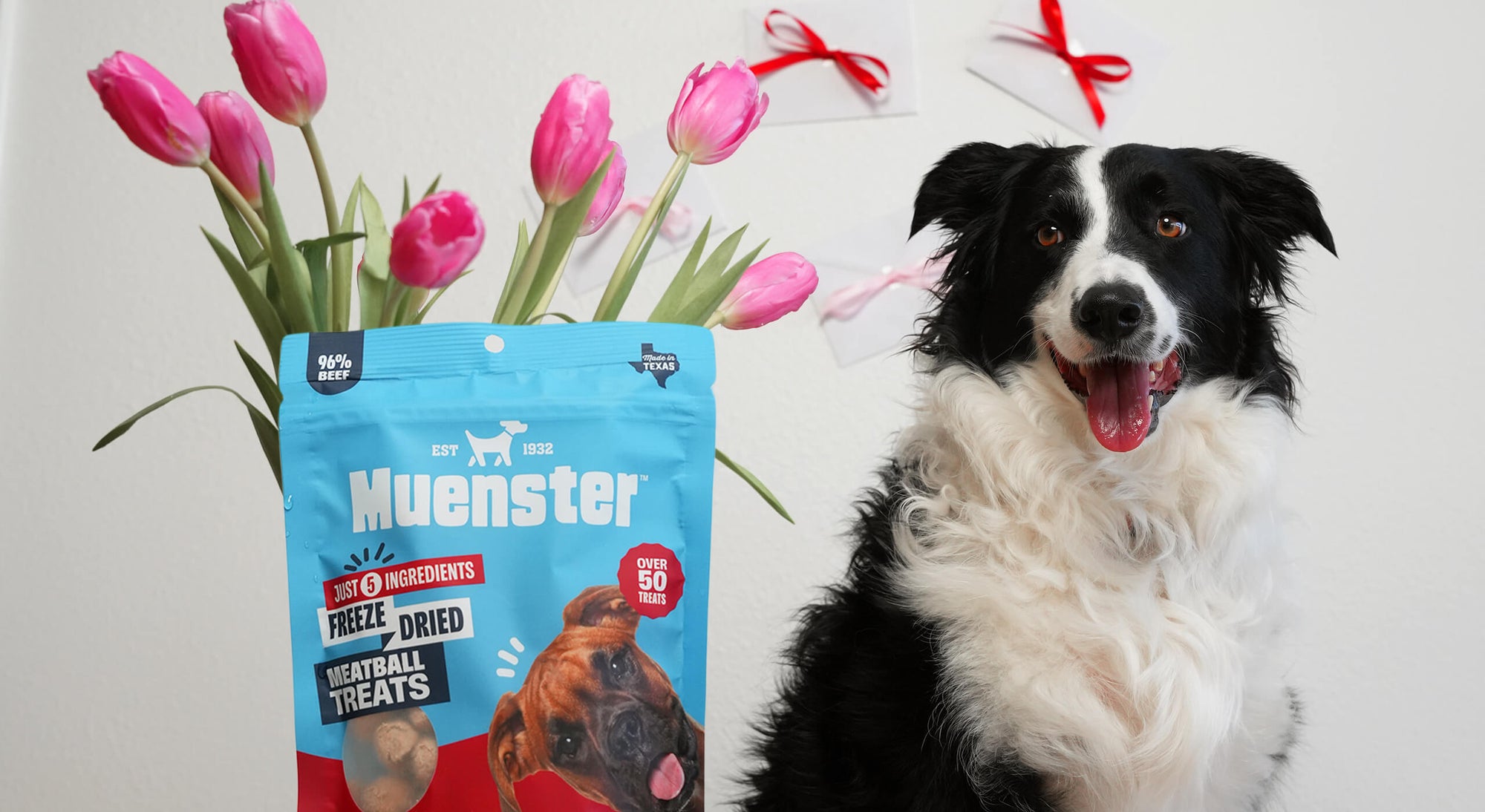 Dog with Valentines Treats