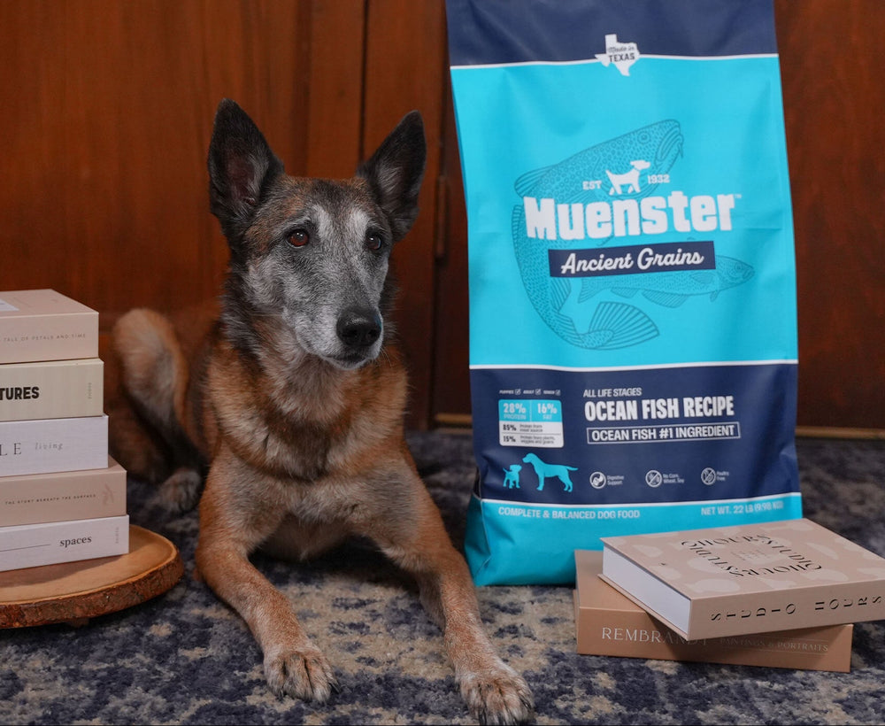 Minca beside a bag of Muenster Ancient Grains Ocean Fish Recipe
