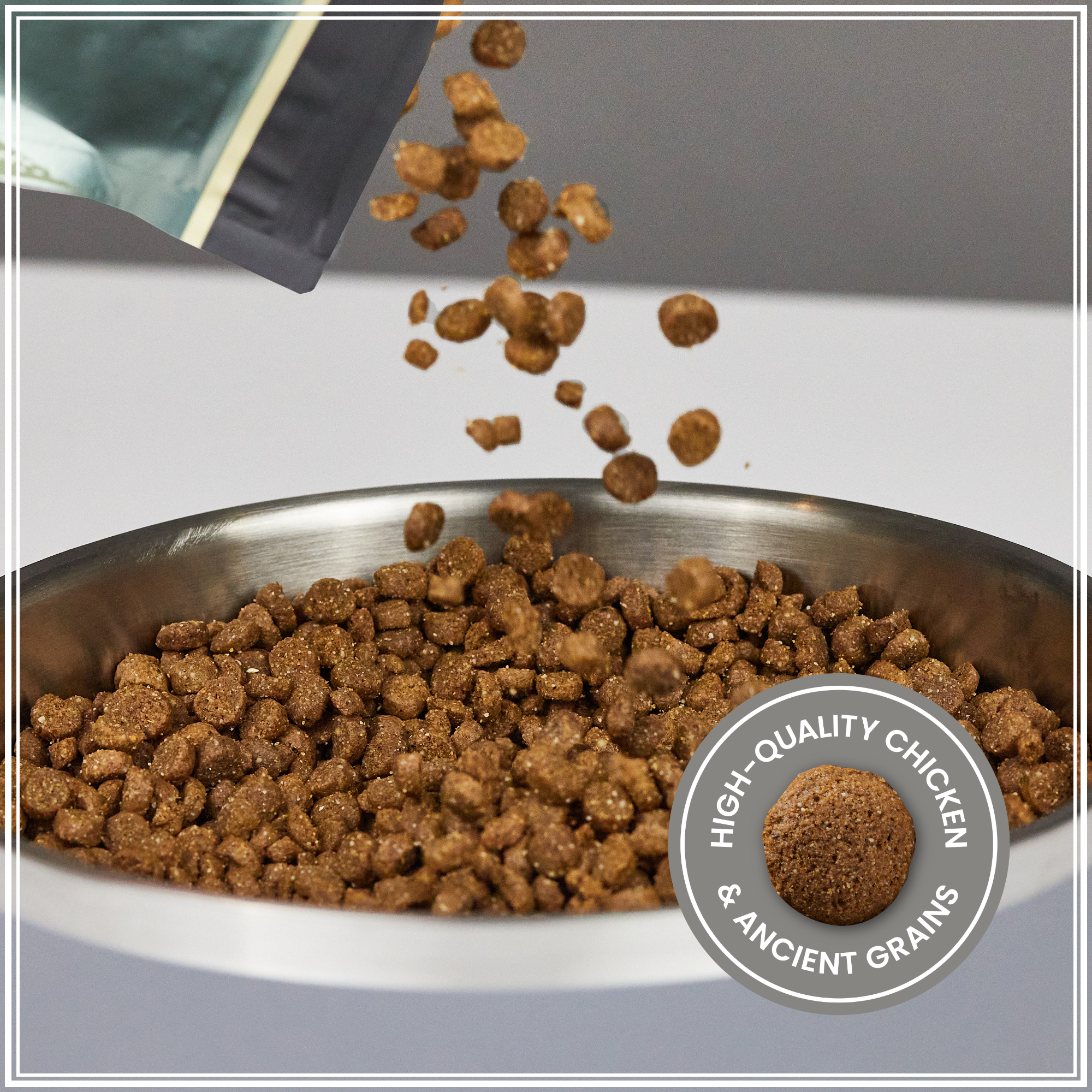 Ancient Grains Recipe with Chicken Dog Food