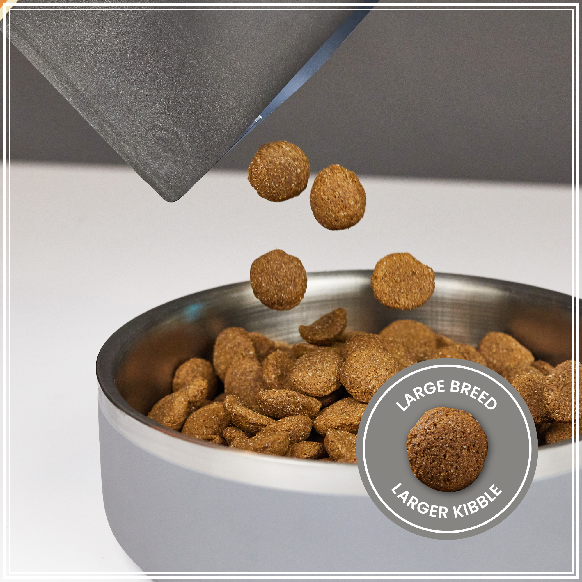 Muenster large breed dry dog food being poured into a dog bowl