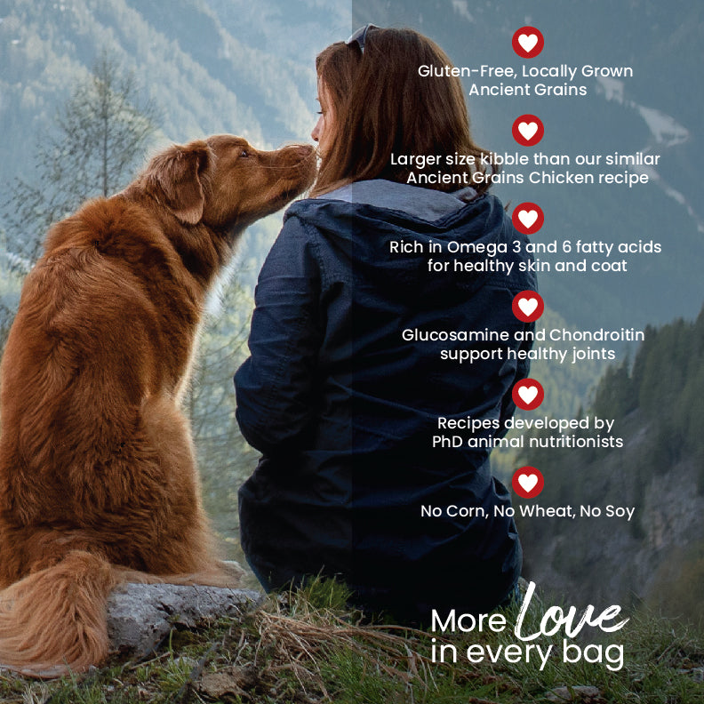 Ancient Grains benefits: gluten free, large size kibble, omega 3 and 6, glucosamine and chondroitin, recipes developed by PhD animal nutritionist, no corn, wheat or soy