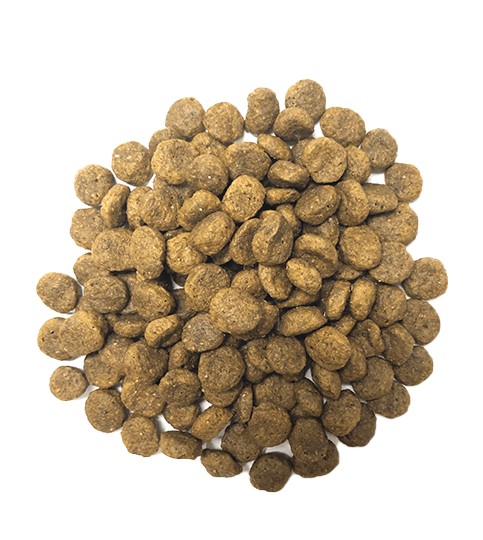 Grain Free Ocean Fish kibble size