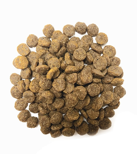 Perfect Balance Grain Free Recipe with Pork Meal Dog Food