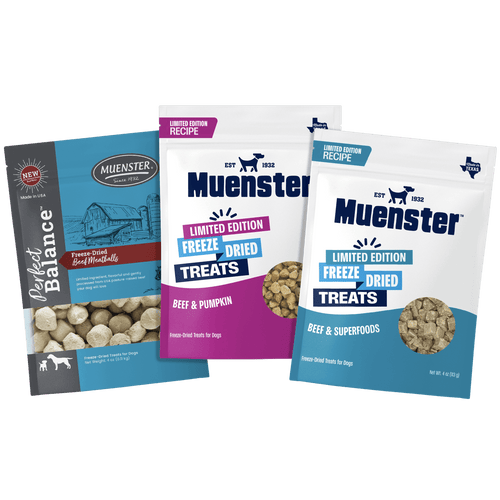 3 bags of Muenster Beef treats - Meatballs, Beef & Pumpkin, Beef & Superfoods