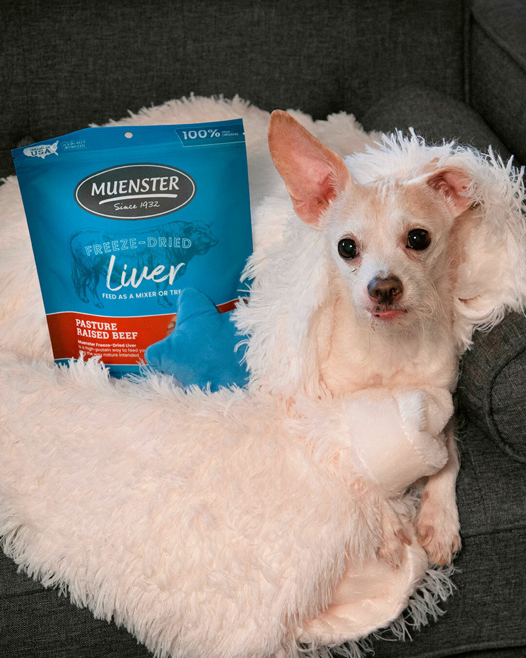Liver treats are picky pup approved, just ask this dog!
