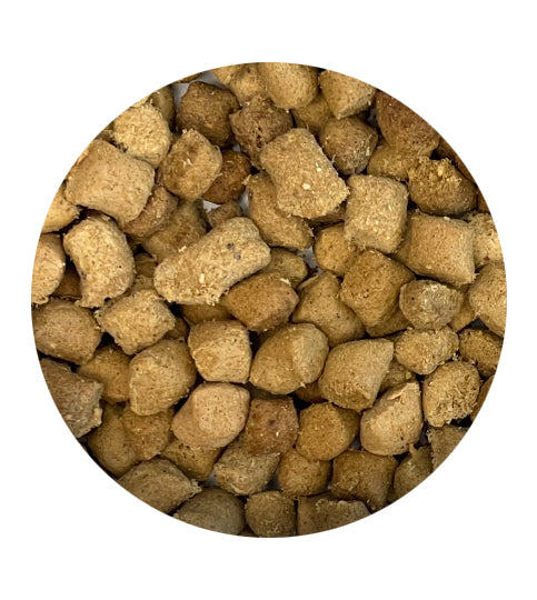 Muenster Freeze-Dried Turducken Dog Treats close up