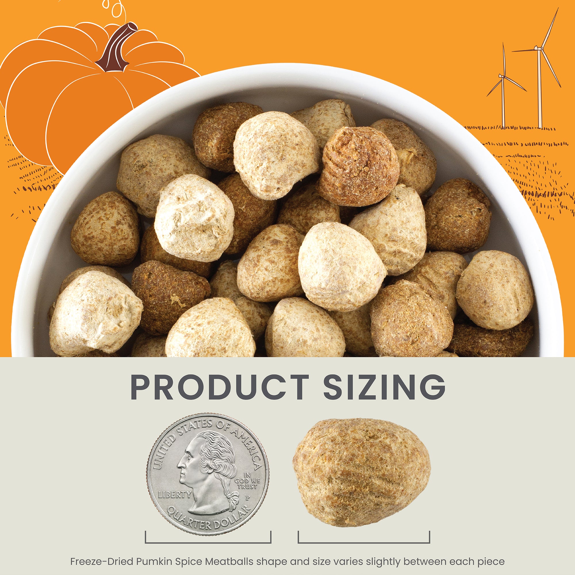 Limited Edition Freeze-Dried Pumpkin Spice Meatballs Dog Treats