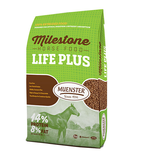 Milestone Horse Food Life Plus