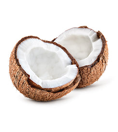 Grain-Free Ocean Fish Dog Food Muenster Pet - Main Image