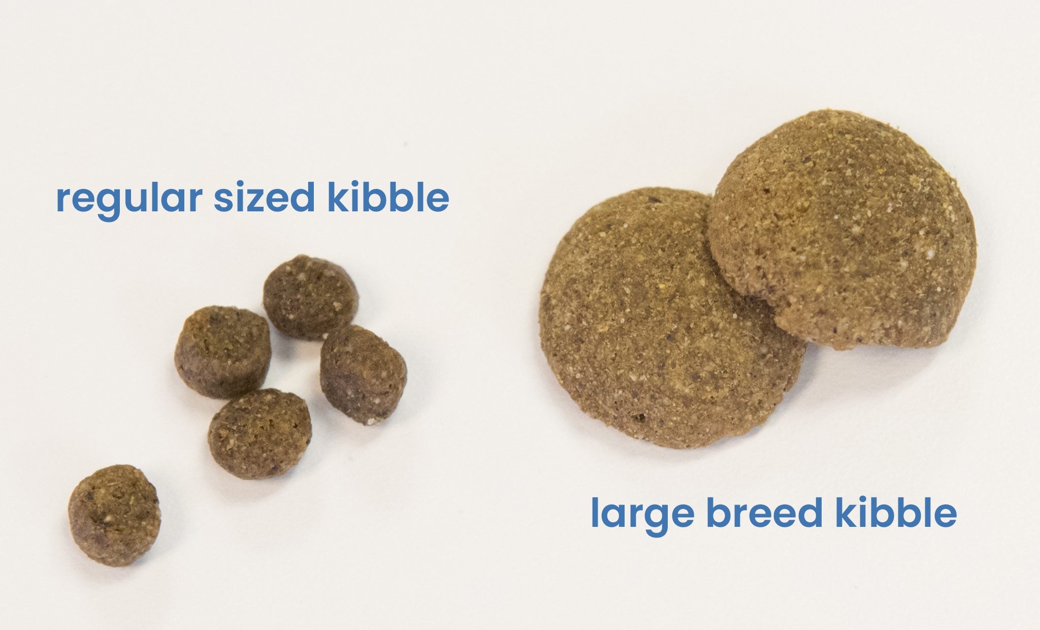Comparison of large breed kibble vs regular size