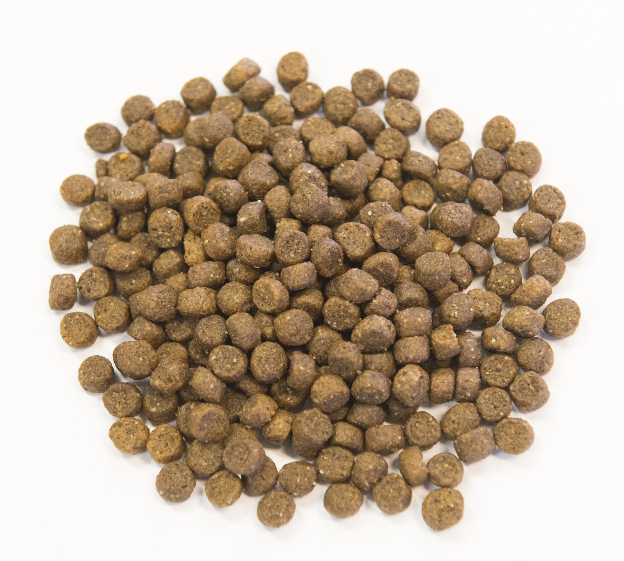 Pea and lentil free dog food hotsell