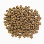 Grain Free Salmon kibble size