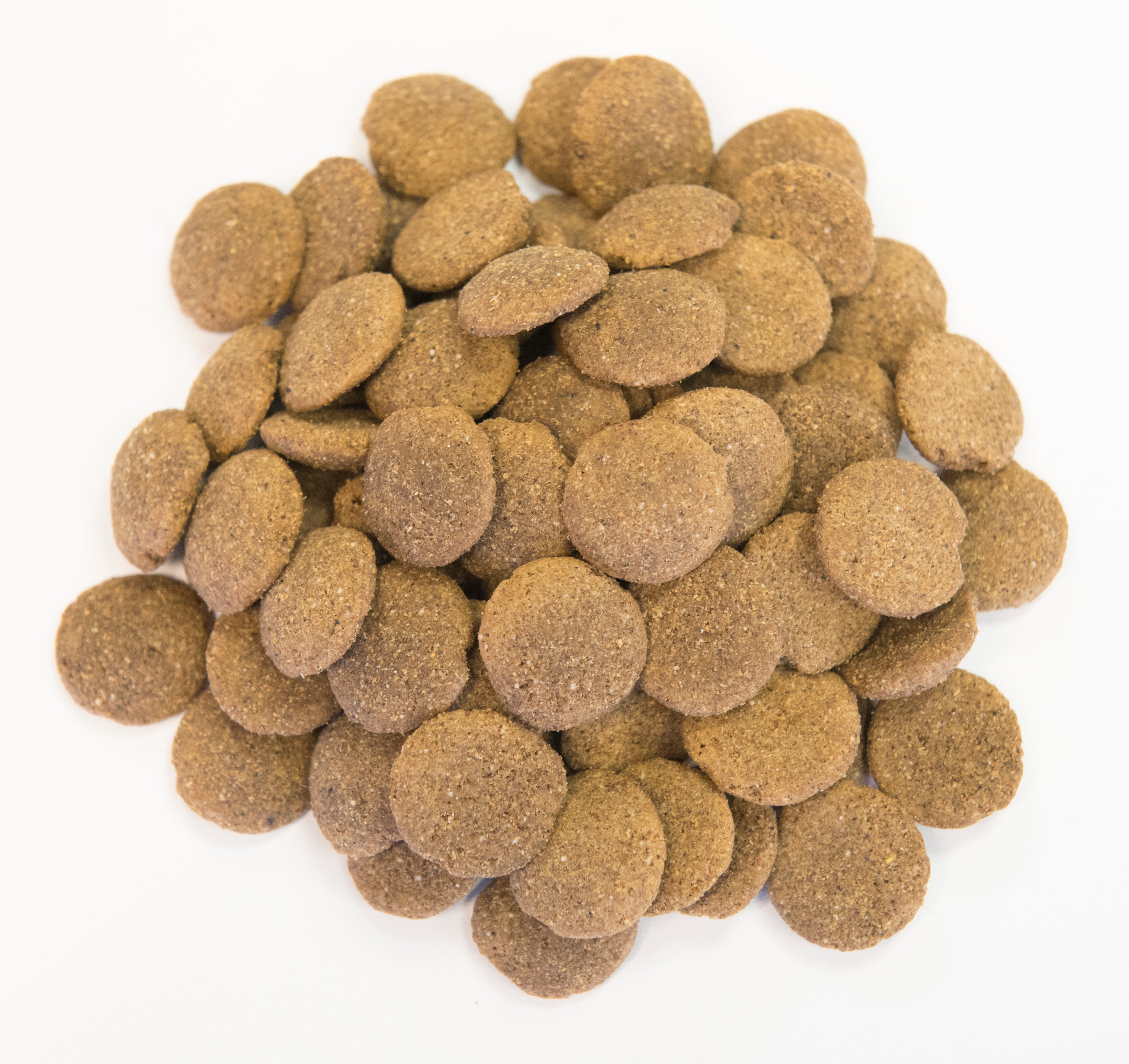 Large kibble dog outlet food