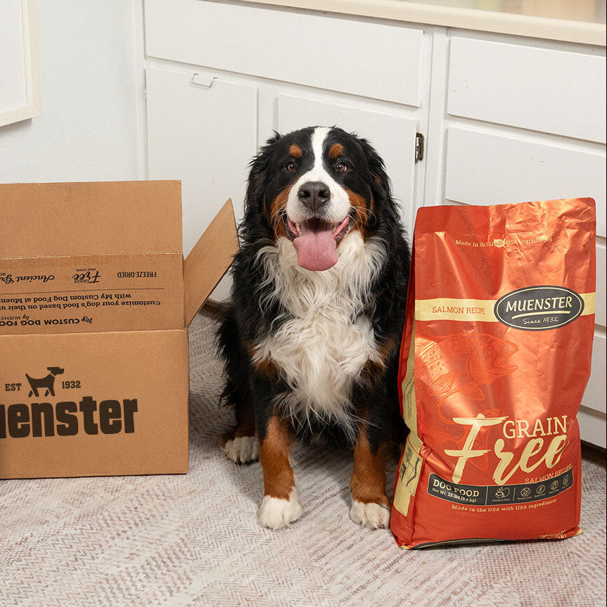 A dog sitting beside a bag of Muenster Grain Free dog food