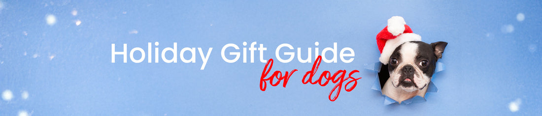 Gifts for Dogs – Muenster Pet