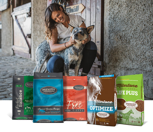 Flax free 2025 dog food