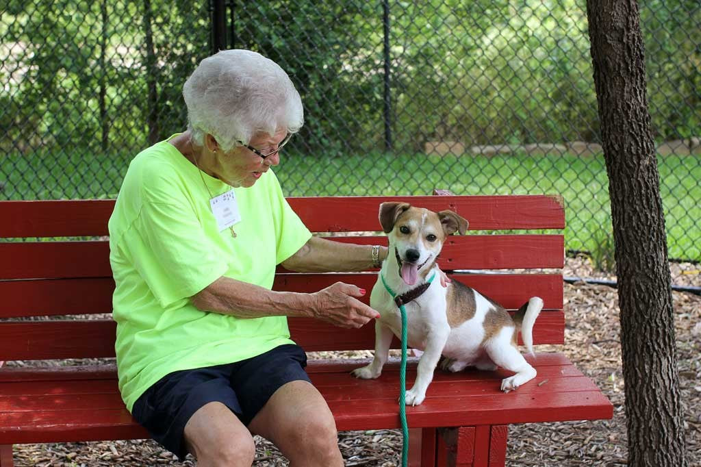 A volunteer spending time with a dog at a community animal event